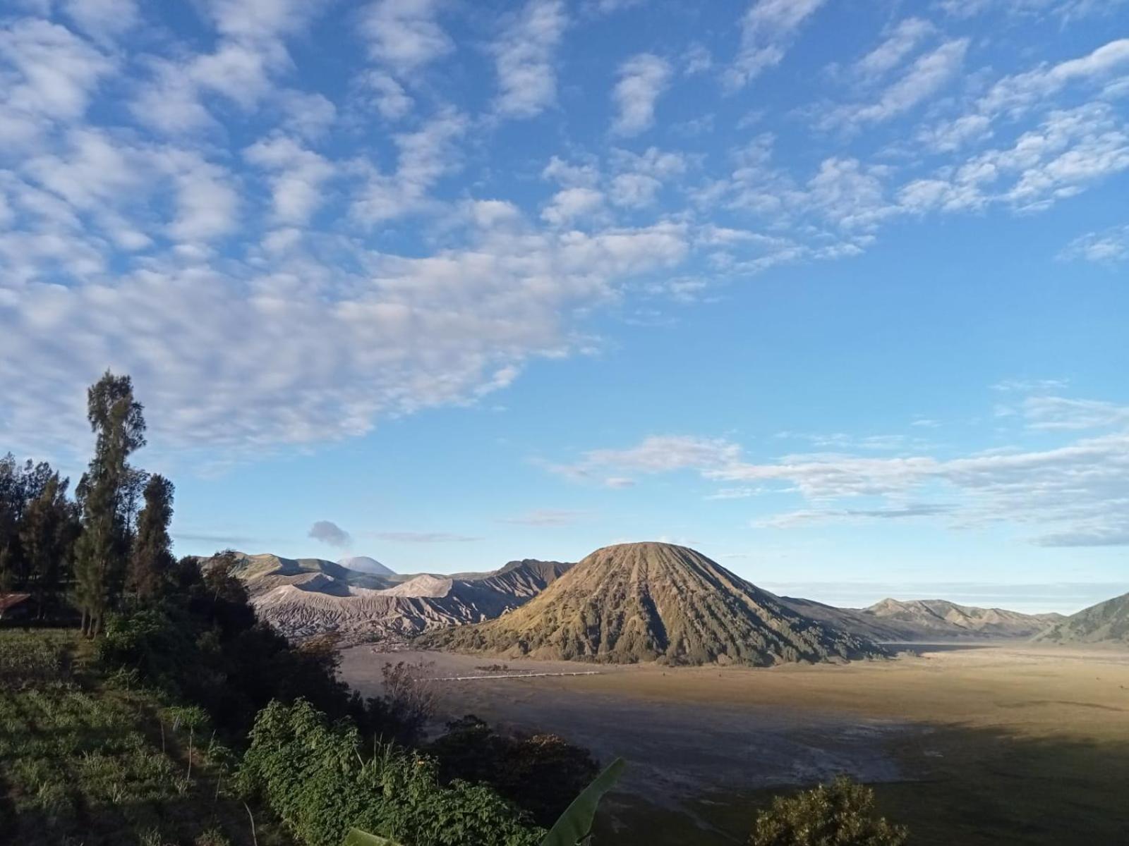 Tengger Indah Seruni Bromo Probolinggo Exterior foto